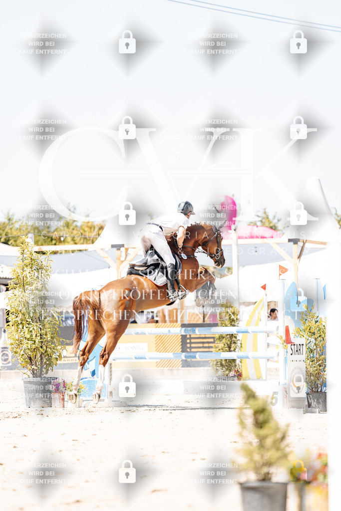 CK900090 | Turnierfotografie Pferdefotografie Trier Rheinland-Pfalz Pferdesport Reitsport Tierfotografie Sportfotografie Pferdevideo Pferdevideografie Equestrianvideography equestrianphotography  - Realisiert mit Pictrs.com