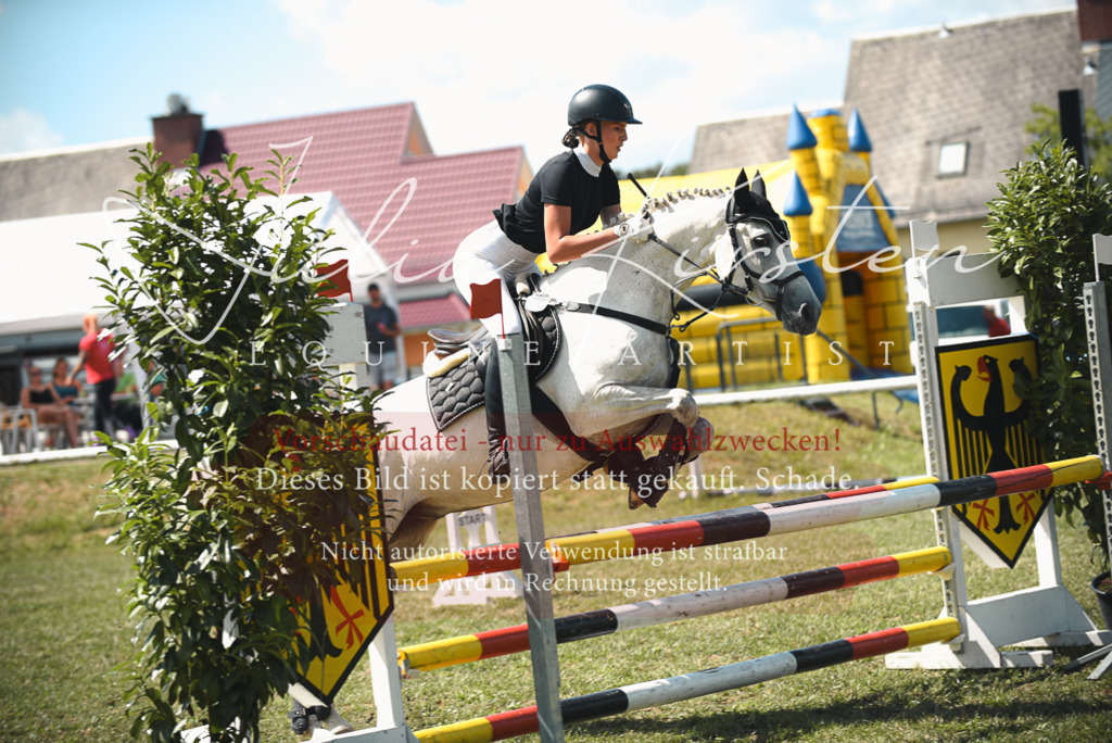 DSC_6538 | Pferde- und Turnierfotografie in Westsachsen. Pferdeportraits, Auftragszeichnungen und intuitive Kunst.