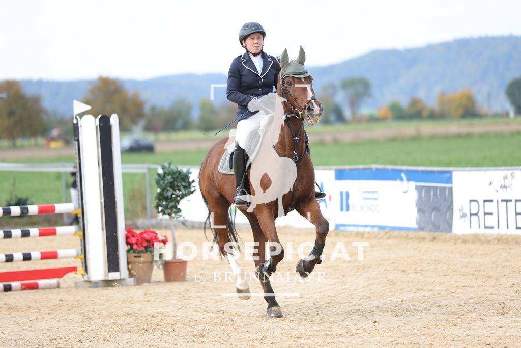 0P6A9499 | Willkommen bei Brunnmayr - Design & Fotografie – Ihrem Spezialisten für Reitturniere und Pferdeveranstaltungen in Oberösterreich, Salzburg und Bayern! Seit über 17 Jahren sind wir leidenschaftlich dabei.