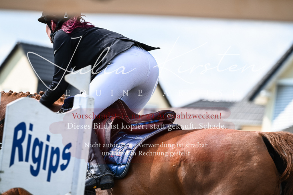 DSC_7835 | Pferde- und Turnierfotografie in Westsachsen. Pferdeportraits, Auftragszeichnungen und intuitive Kunst.