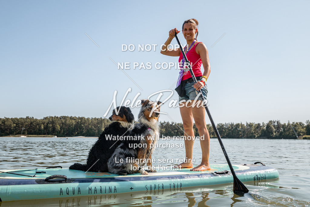 nelerasche_saSUP3_179 | nelerasche