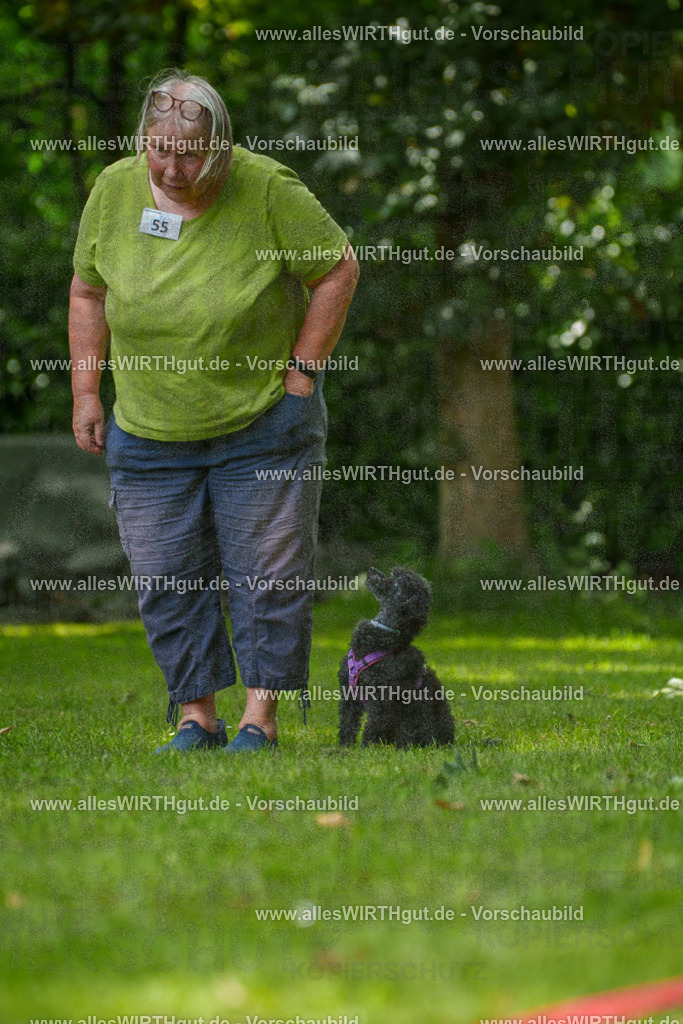 @allesWIRTHgut_Tierfotografie - www.allesWIRTHgut.de - 7R500985 | Professionelle Tierfotografie in Mönchengladbach von Daniel Wirth (allesWIRTHgut). Liebevolle & natürliche Bilder von Hunden & Katzen für unvergessliche Erinnerungen.