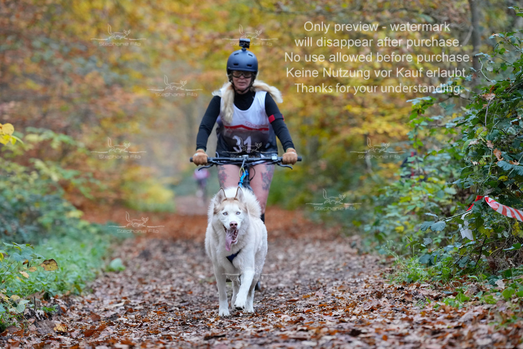 Scooter_So-100 | stephaniefillaphotographie - Realisiert mit Pictrs.com