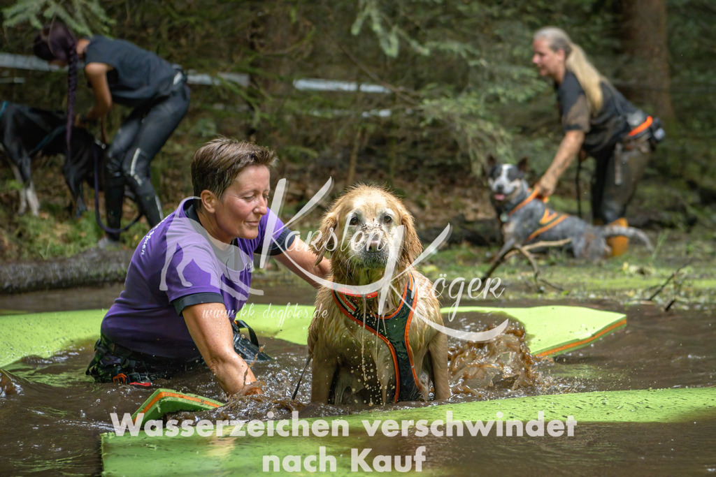 1529_ZZ90911-Bearbeitet | kk-dogfotos