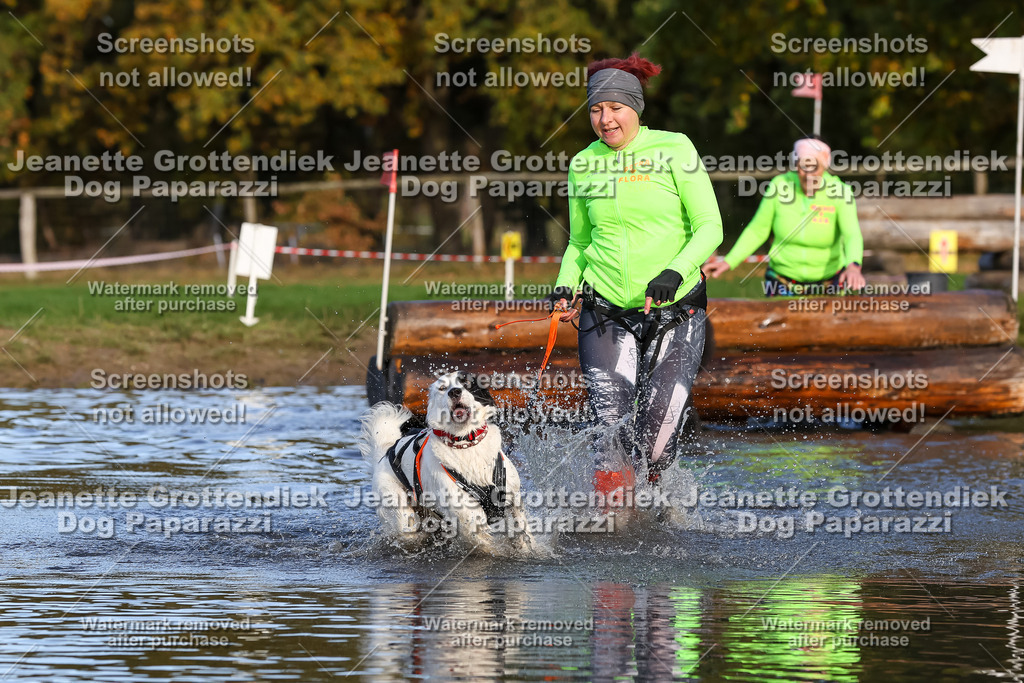 Dog Paparazzi - Strongdog 10-25-8501 | Dog Paparazzi Jeanette Grottendiek Fotografie & Videografie - Realisiert mit Pictrs.com