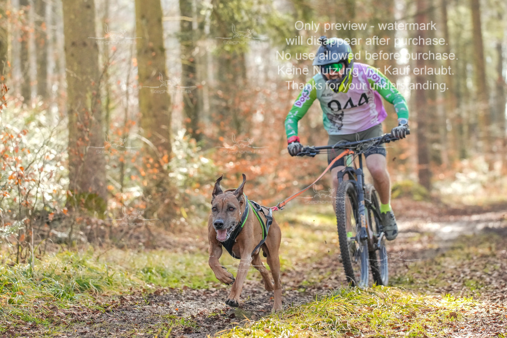So_Bike_2-17 | stephaniefillaphotographie - Realisiert mit Pictrs.com
