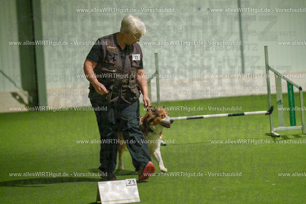 7R508827 | Professionelle Tierfotografie in Mönchengladbach von Daniel Wirth (allesWIRTHgut). Liebevolle & natürliche Bilder von Hunden & Katzen für unvergessliche Erinnerungen.