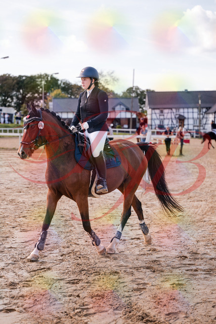 2026_10_03_Siefer-Hof_145535_Z81_36845761 | Professionelle Reitsport-, Turnier- und Eventfotografie von Robert Broda. Galerien mit ausgewählten und bearbeiteten Bildern direkt online ansehen und bestellen.