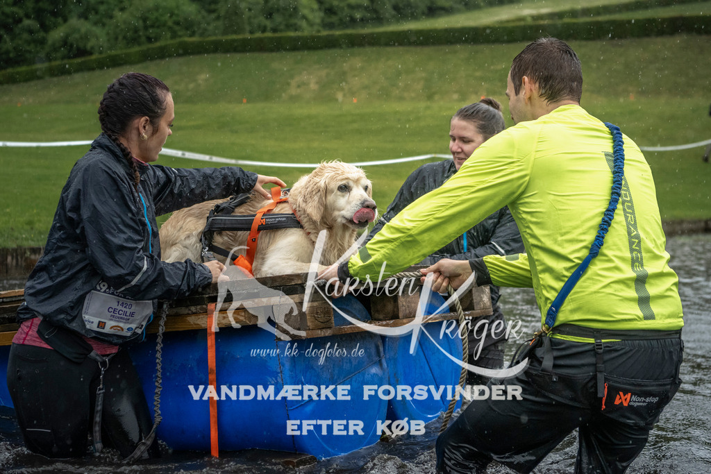 1324_ZZ98091 | kk-dogfotos