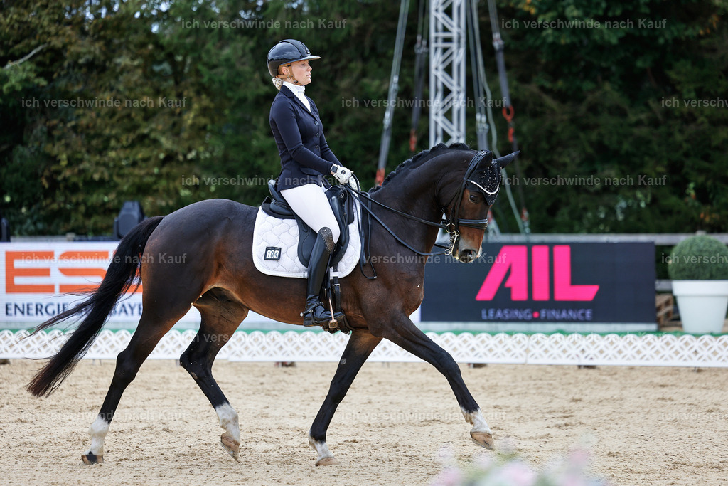 3-104-Dressur M_-StoibPH-2460 | working equitationturnier fotograf videograf stoibphotography marixx film working equitation deutschland reitsport turnierfotografie eventfotografie equestrian events