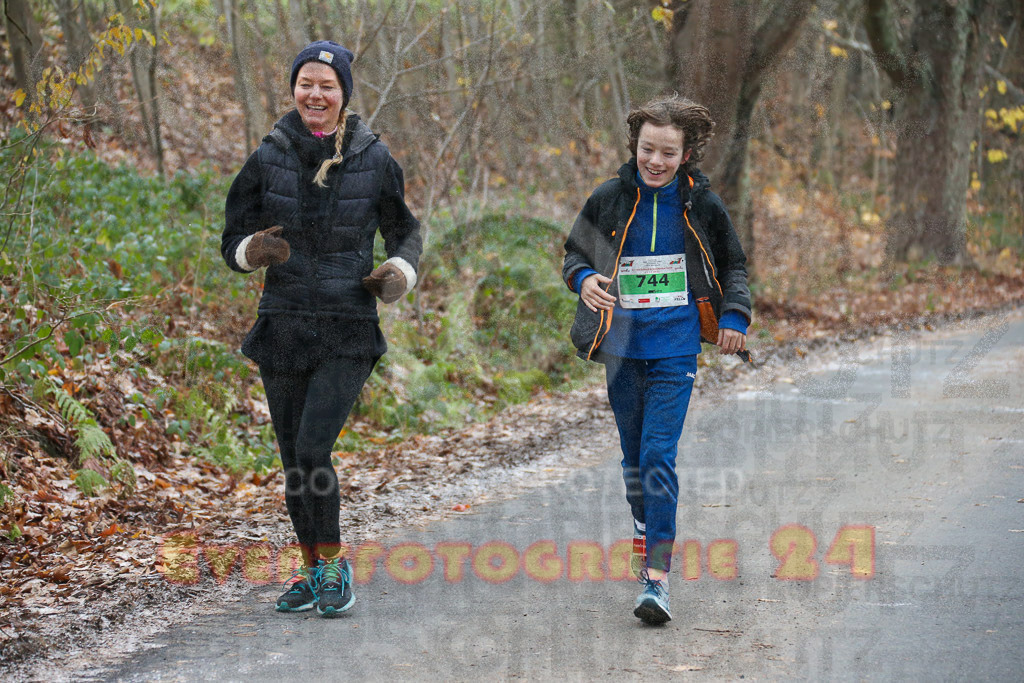 221211_0950_EX1_4938 | Sportfotografie im Rhein-Sieg Kreis, Köln, Bonn, NRW, Rheinland Pfalz, Hessen, etc. Unser Tätigkeitsfeld umfasst den Laufsport vom Volkslauf über den Marathon, Duathlon, Triathon bis zum Ultralauf wie Kölnpfad Ultra oder Schindertrail.