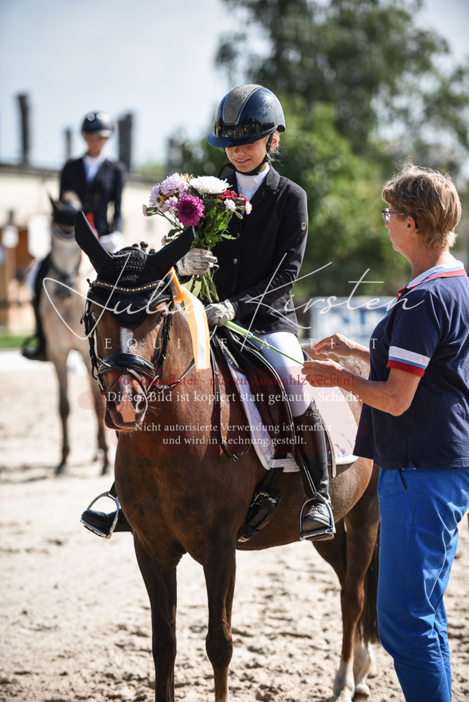 DSC_8735 | Pferde- und Turnierfotografie in Westsachsen. Pferdeportraits, Auftragszeichnungen und intuitive Kunst.