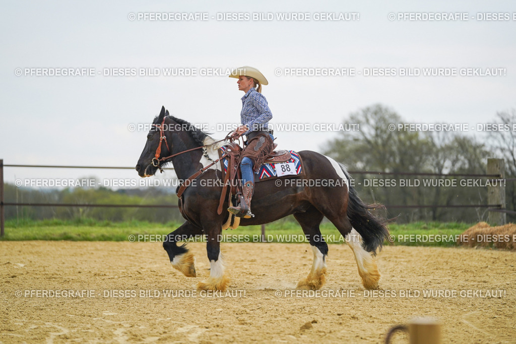 DSC08043 | Pferdegrafie