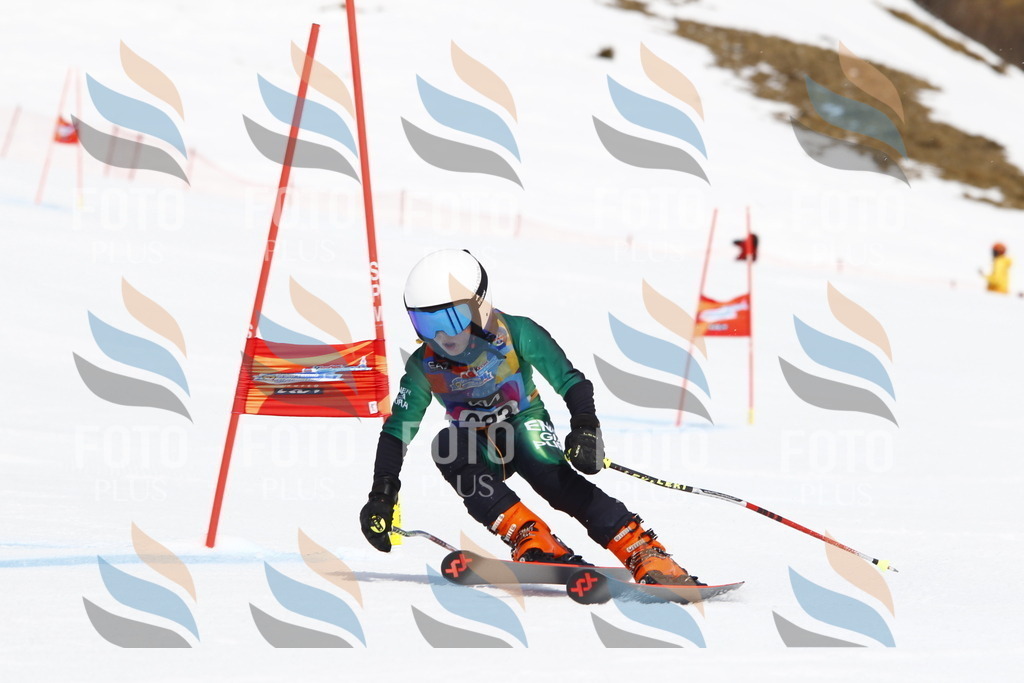 _U3G5762 | holidayphoto