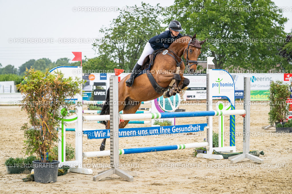 DSC00885 | Pferdegrafie