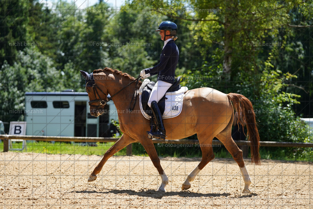 20240705-FAH04044 | Turnierbilder von Grafing, Reitsportbilder, Turnierfotos, Turnierfotografen Bayern, Pferdefotograf, Fotoagentur Herrmann