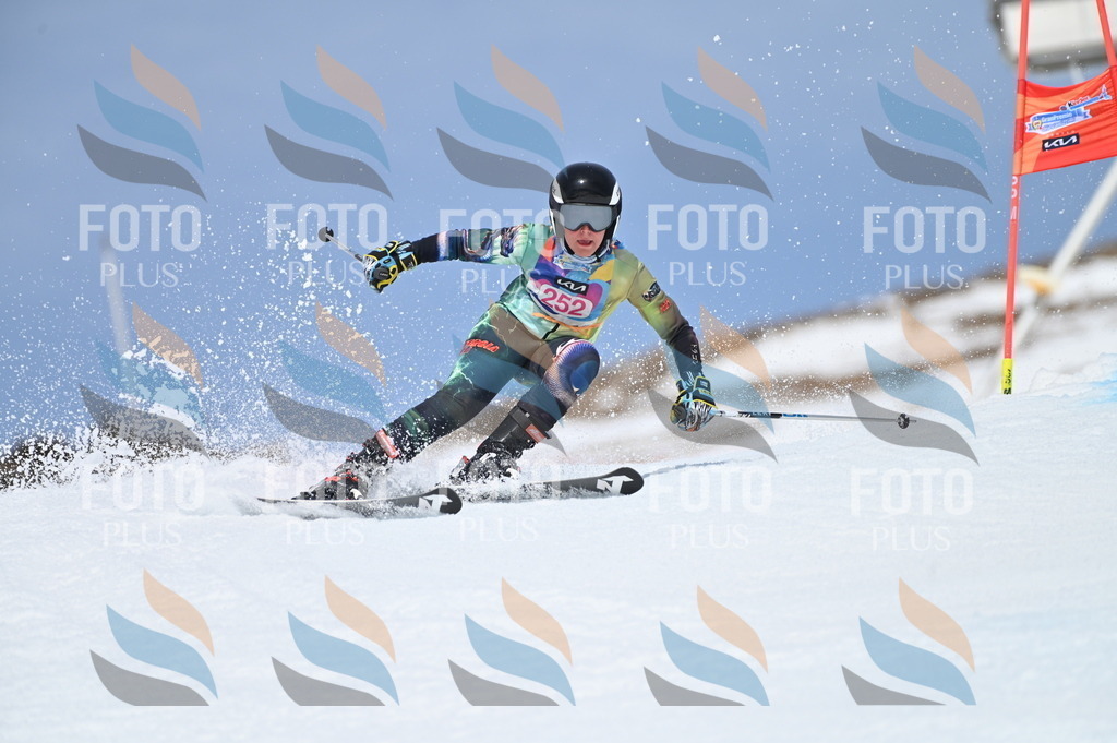 BGV_1912 | holidayphoto