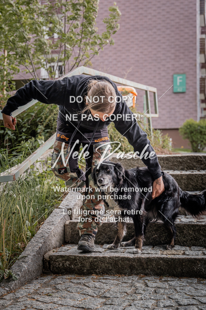 nelerasche_SaOnTheRoad_483 | nelerasche
