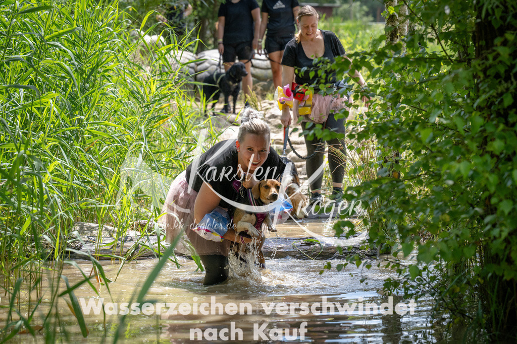 1408_ZZ93195 | kk-dogfotos