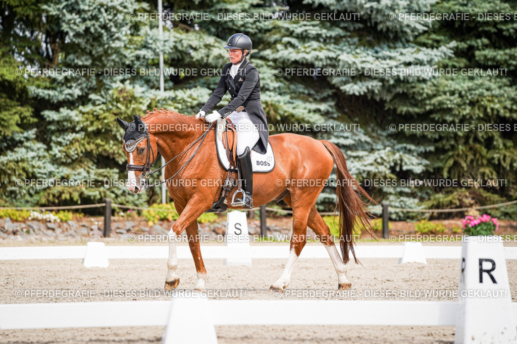 DSC06459 | Pferdegrafie