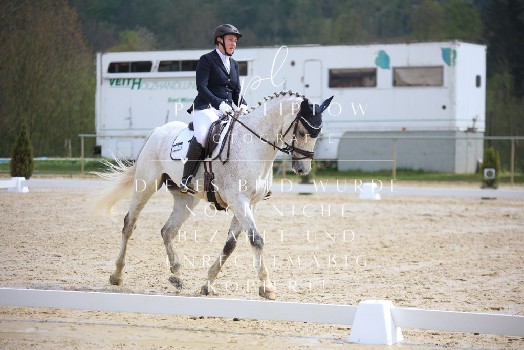 IMGT3226 | pl-fotografie