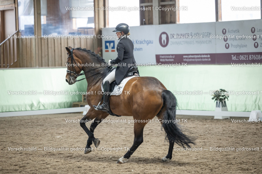 _D5A6358 | Emotionale Pferde- & People-Fotografie rund um Heidelberg, Leimen & Umgebung. Natürliche Fotos von Pferd, Mensch & Familie. Jetzt Termin sichern!