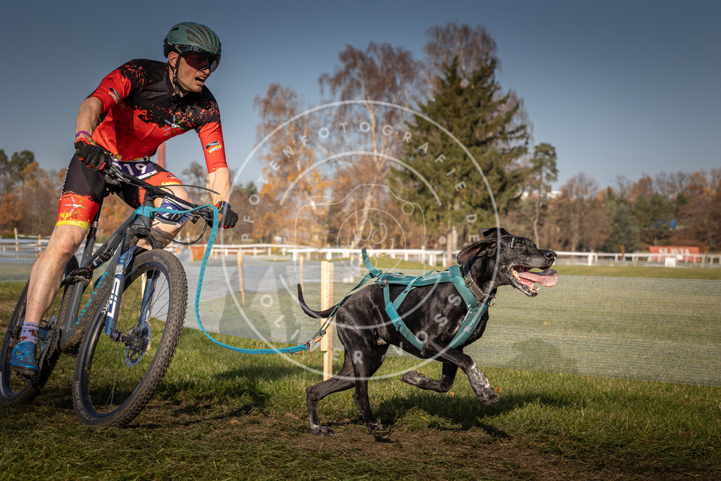 CaniXpix_0L8A6991 | Hundefotografie, Tierfotograf, Pfotenfotografie, Fotoshooting Hund, Hunde Portrait, Hundesport, Hundeportraits, Heideshooting, Hunde, Sportfotograf, Hundefotograf, Turnierhundsport, THS,  - Realisiert mit Pictrs.com