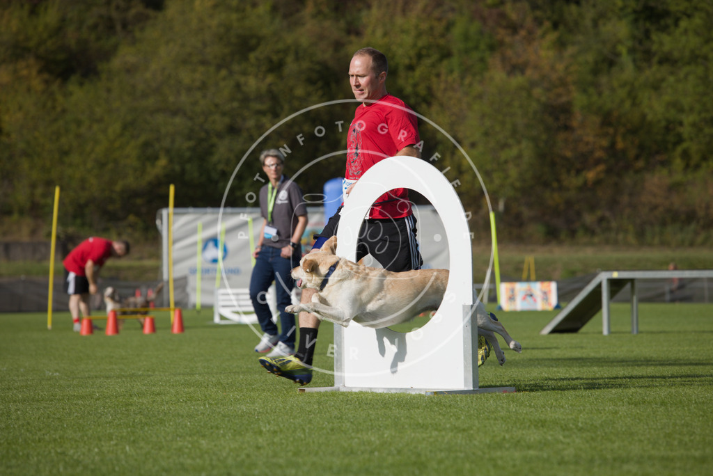0L8A3868 | Hundefotografie, Tierfotograf, Pfotenfotografie, Fotoshooting Hund, Hunde Portrait, Hundesport, Hundeportraits, Heideshooting, Hunde, Sportfotograf, Hundefotograf, Turnierhundsport, THS,  - Realisiert mit Pictrs.com