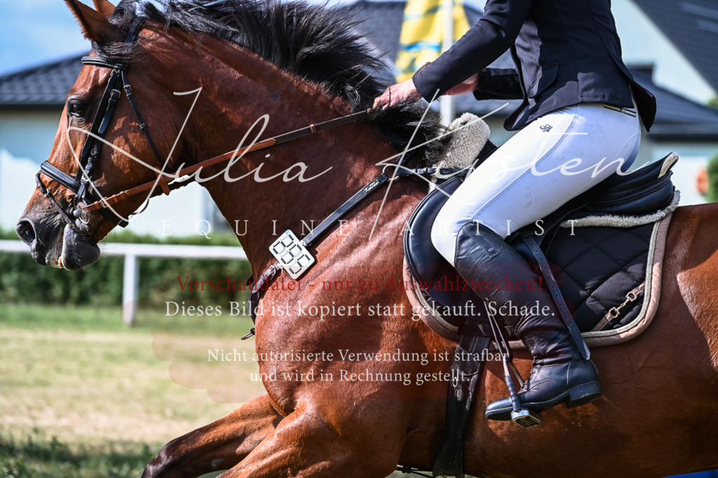 DSC_7811 | Pferde- und Turnierfotografie in Westsachsen. Pferdeportraits, Auftragszeichnungen und intuitive Kunst.