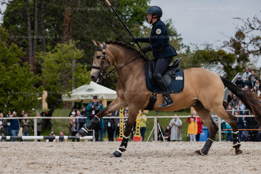 PI26_SP_StoibphotographyC2_C2041.jpg | working equitationturnier fotograf videograf stoibphotography marixx film working equitation deutschland reitsport turnierfotografie eventfotografie equestrian events