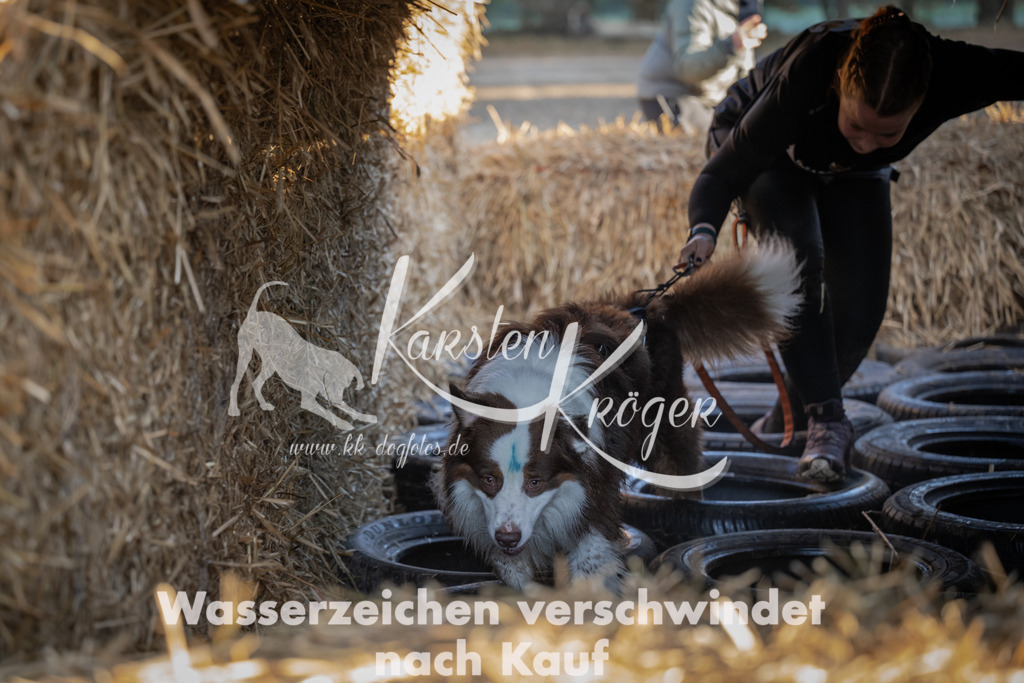 0937_ZZ93993 | kk-dogfotos