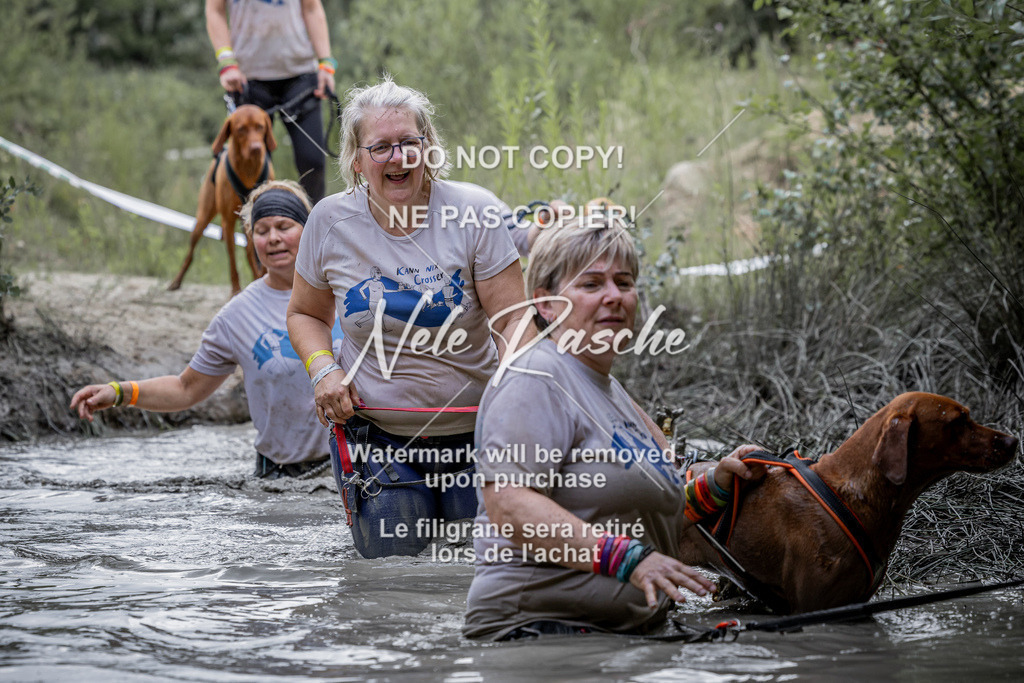 nelerasche_so1145-1230_302 | nelerasche