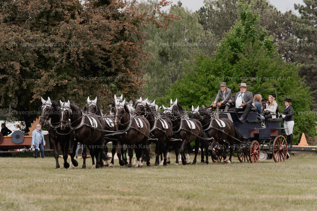 Showprogramm-139 | working equitationturnier fotograf videograf stoibphotography marixx film working equitation deutschland reitsport turnierfotografie eventfotografie equestrian events