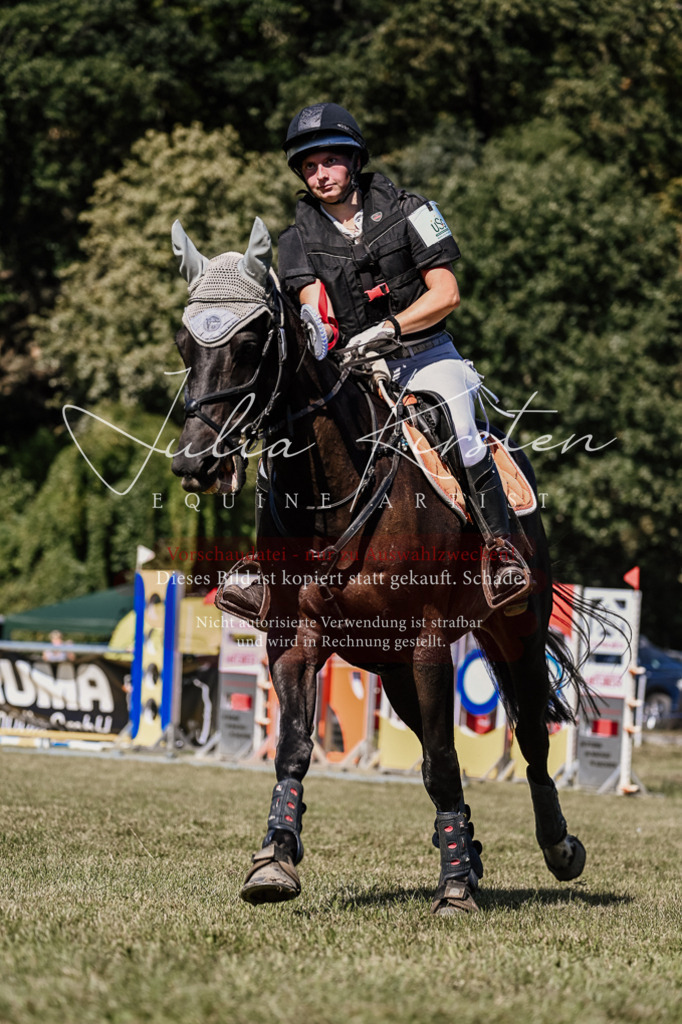 DSC_2606 | Pferde- und Turnierfotografie in Westsachsen. Pferdeportraits, Auftragszeichnungen und intuitive Kunst.