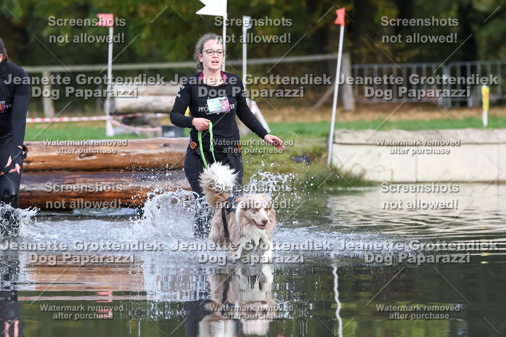 Dog Paparazzi - Strongdog 10-25-6905 | Dog Paparazzi Jeanette Grottendiek Fotografie & Videografie - Realisiert mit Pictrs.com