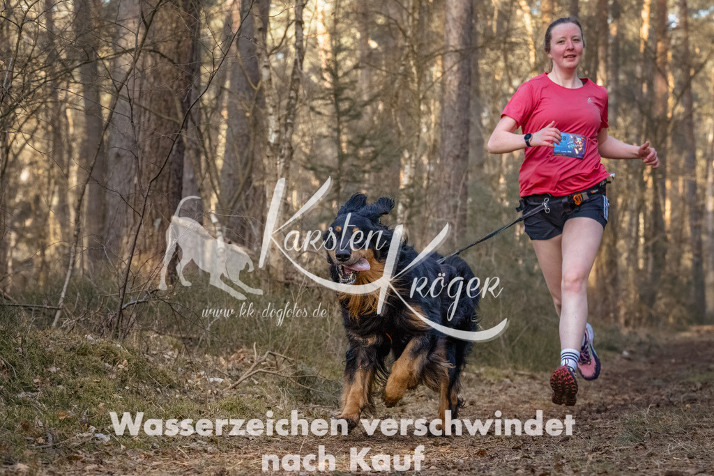 0832_ZZ91541-Bearbeitet | kk-dogfotos
