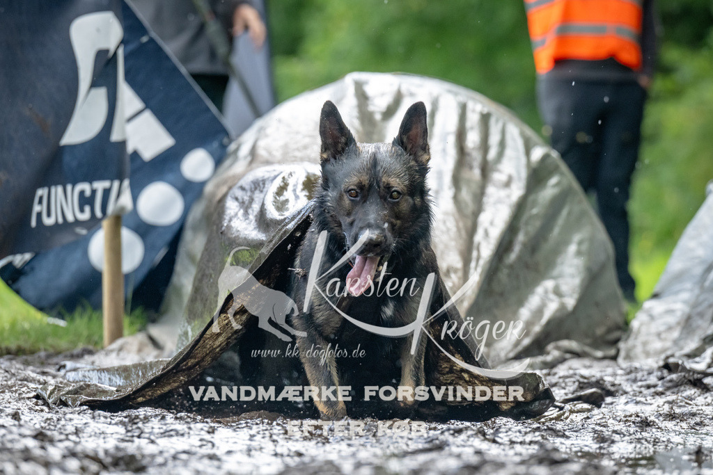 1147_ZZ94260 | kk-dogfotos