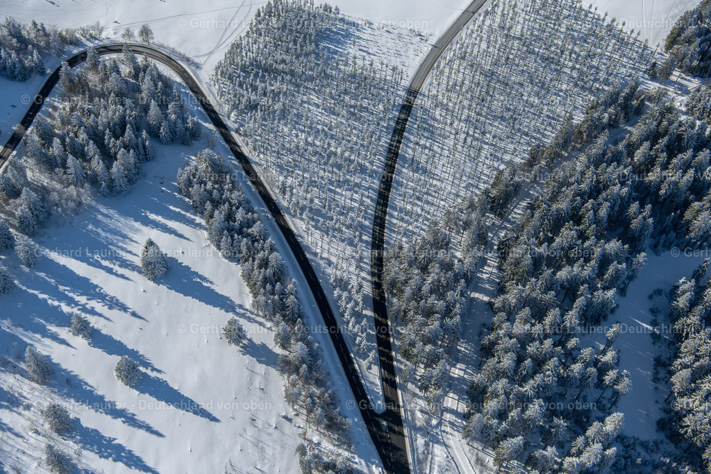 4043581 | winterliche Baumstrukturen bei Winterberg