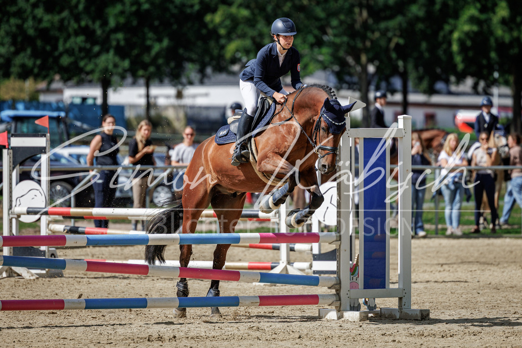 20260905-_3LI8618 | Tierfotografie Pferde, Hunde, Katzen, Haustiere.
Turnierfotografie Reitturniere, Reiten, Springreiten, Dressur in Hanau, dem Main-Kinzig-Kreis und dem Rhein-Main- Gebiet um Frankfurt