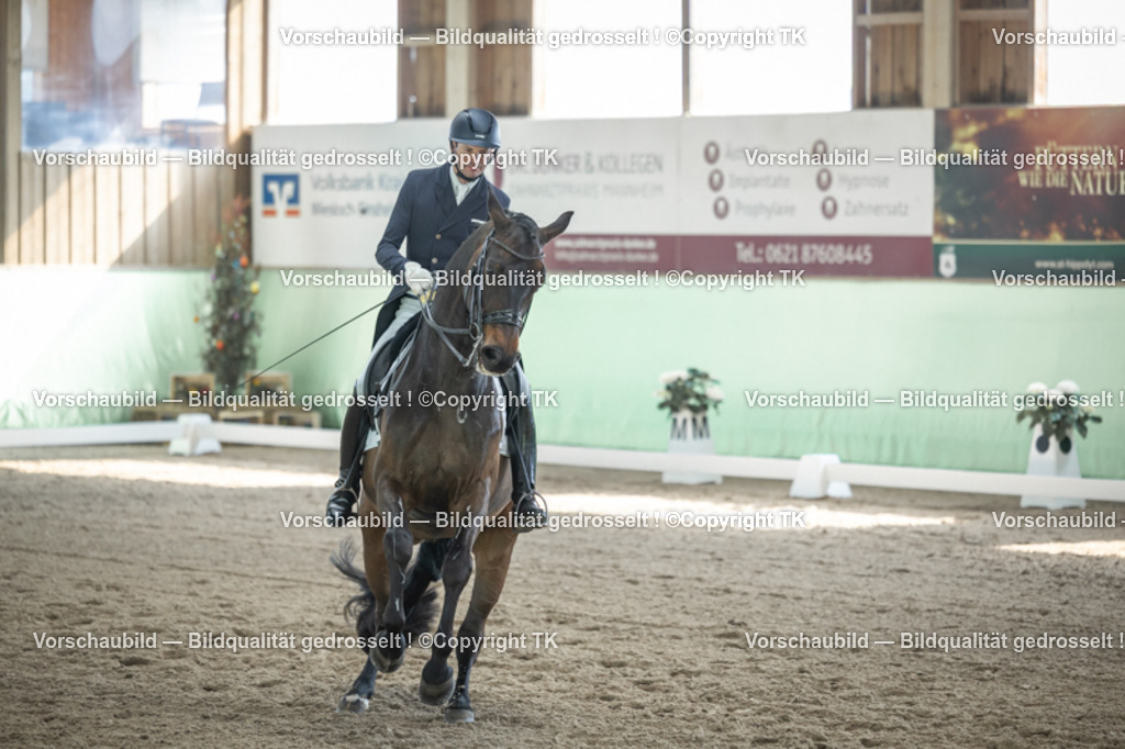 _D5A9577 | Emotionale Pferde- & People-Fotografie rund um Heidelberg, Leimen & Umgebung. Natürliche Fotos von Pferd, Mensch & Familie. Jetzt Termin sichern!