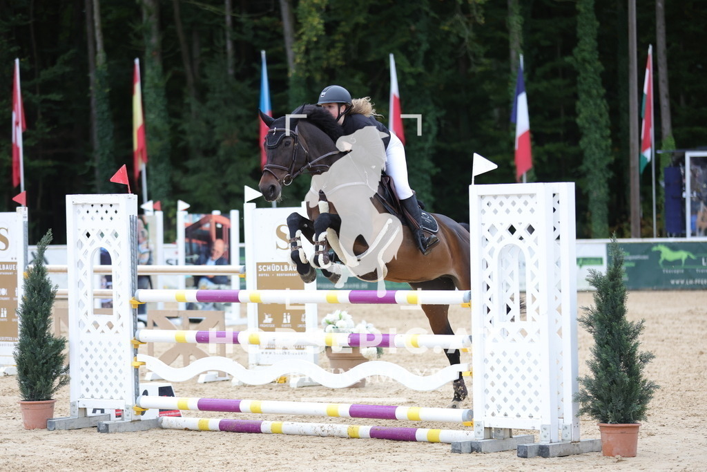 0P6A7161 | Willkommen bei Brunnmayr - Design & Fotografie – Ihrem Spezialisten für Reitturniere und Pferdeveranstaltungen in Oberösterreich, Salzburg und Bayern! Seit über 17 Jahren sind wir leidenschaftlich dabei.