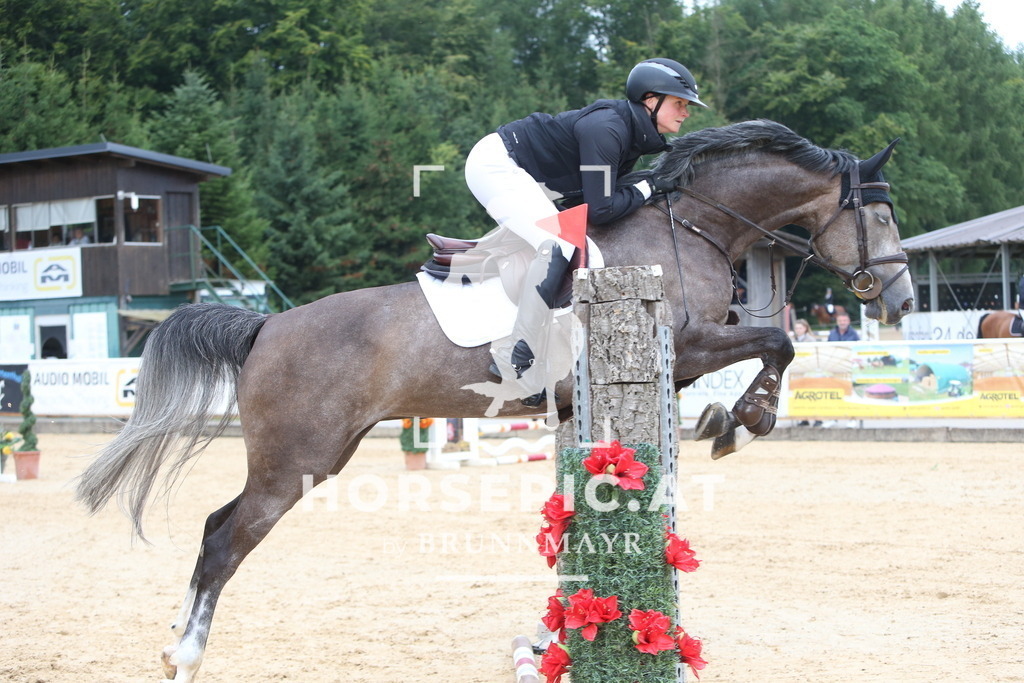 DL2Q4242 | Willkommen bei Brunnmayr - Design & Fotografie – Ihrem Spezialisten für Reitturniere und Pferdeveranstaltungen in Oberösterreich, Salzburg und Bayern! Seit über 17 Jahren sind wir leidenschaftlich dabei.