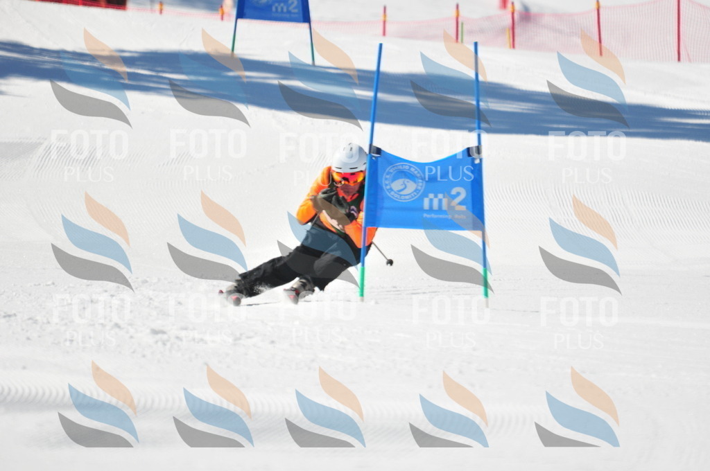 C4318 | holidayphoto