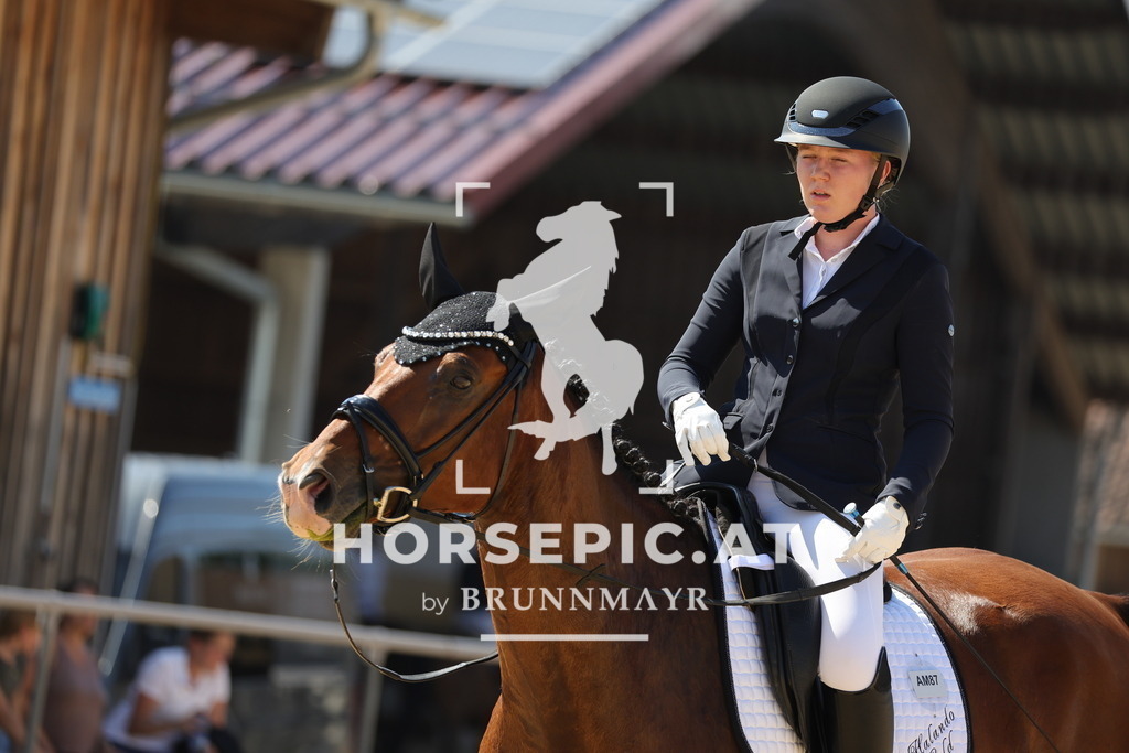 0P6A1269 | Willkommen bei Brunnmayr - Design & Fotografie – Ihrem Spezialisten für Reitturniere und Pferdeveranstaltungen in Oberösterreich, Salzburg und Bayern! Seit über 17 Jahren sind wir leidenschaftlich dabei.