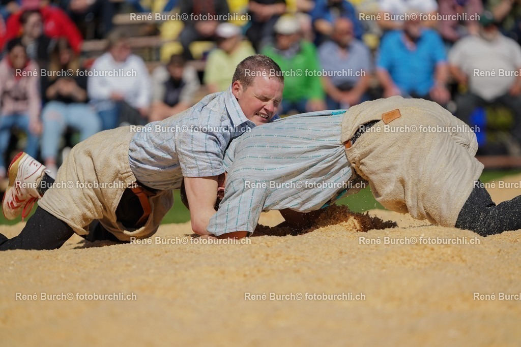 20220418-DSC06895 | René Burch leidenschaftlicher Fotograf aus Kerns in Obwalden.  Hier finden sie Sport, Landschaft und Natur Fotografie.
 - Realisiert mit Pictrs.com