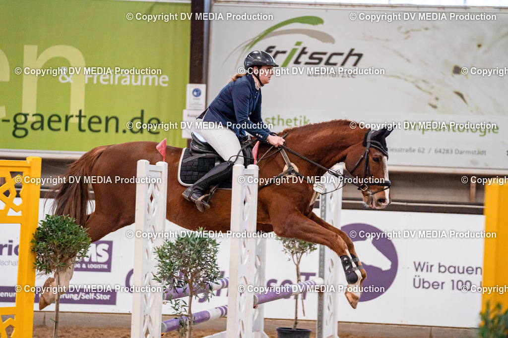 Kranichstein Tag 3-040 | dv-media-shop - Realisiert mit Pictrs.com