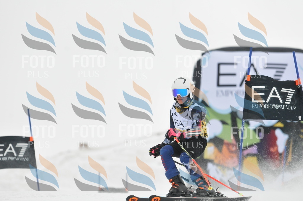 DSC_8718 | holidayphoto