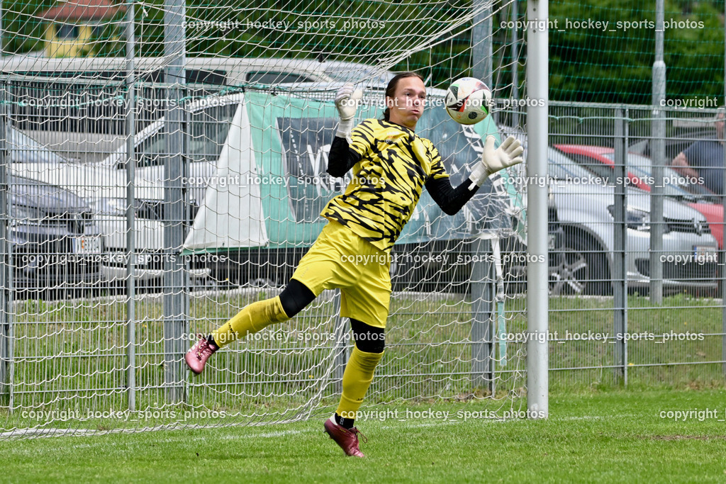 SC Landskron vs. SV Falle Maria Gail | #1 Aric Leon Haimburger SC Landskron, SC Landskron vs. SV Falle Maria Gail, SC Landskron vs. SV Falle Maria Gail am 17.05.2026 in Villach (Sportanlage Landskron), Austria, (Photo by Bernd Stefan)