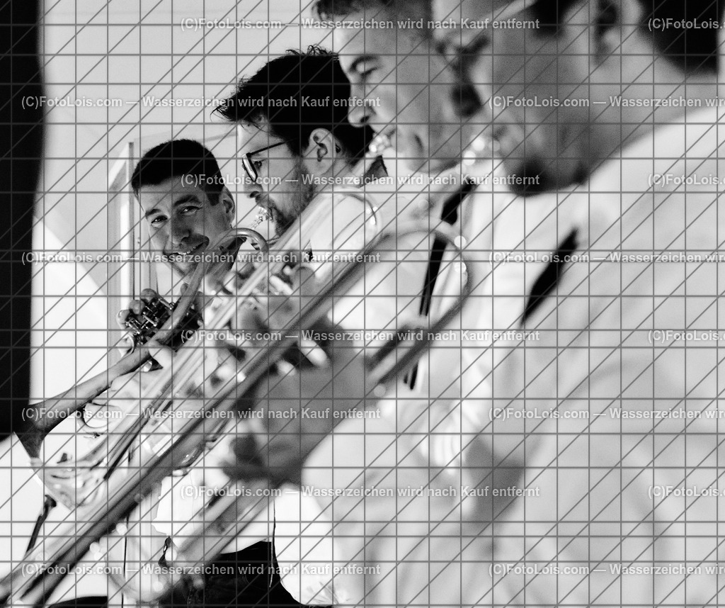 ALP3896_FJ-Sommernachtsball | (C)FotoLois.com, Alois Spandl, Francisco Josephinum SOMMERNACHSBALL der Maturantinnen und Maturanten im Schloß Weinzierl in Wieselburg-Land, Fr 23. Juni 2023.