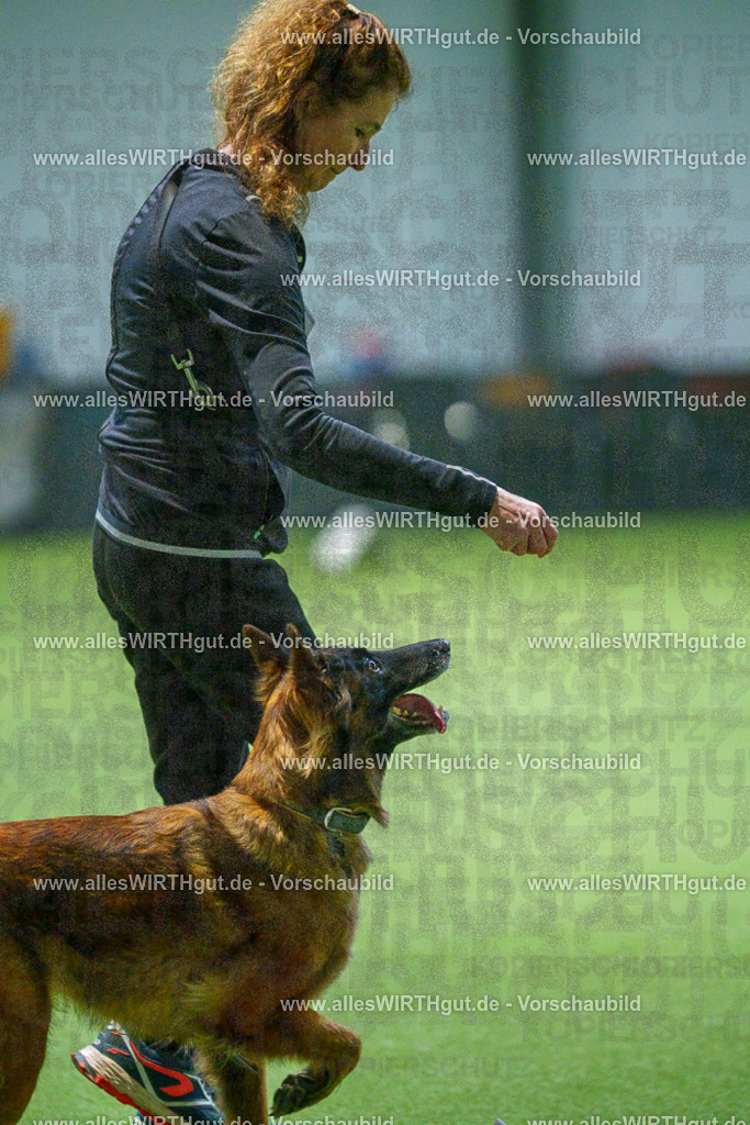 7R505680 | Professionelle Tierfotografie in Mönchengladbach von Daniel Wirth (allesWIRTHgut). Liebevolle & natürliche Bilder von Hunden & Katzen für unvergessliche Erinnerungen.